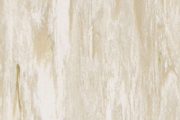 0003 Ivory 0003 Ivory