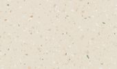 6013 Apricot 6013 Apricot